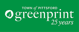 Greenprint 25 block logo