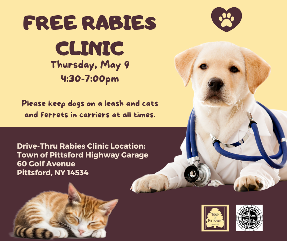 Rabies Vaccine Clinic 2024 graphic