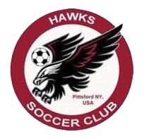 Pittsford Hawks Soccer